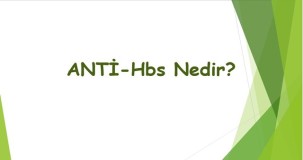 Anti Hbs Nedir?